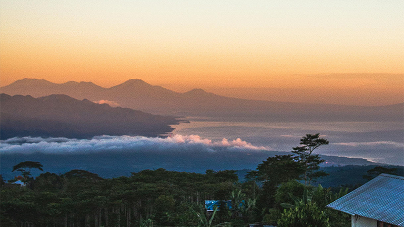 区领导莅临6163银河制药工厂，亲临一线指导工作